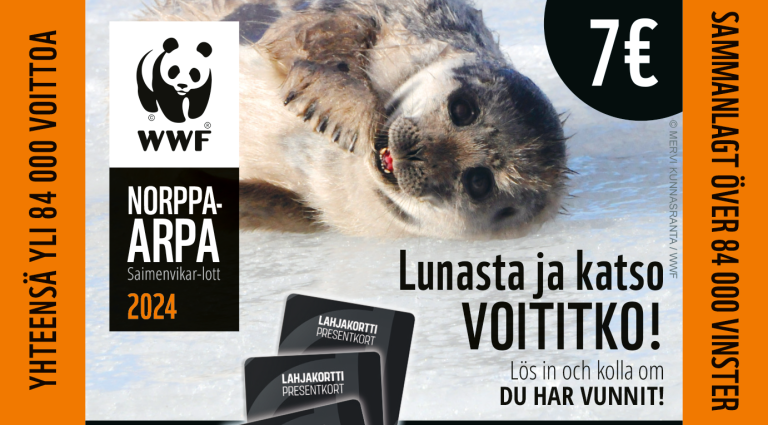 WWF_NorppArpa2024